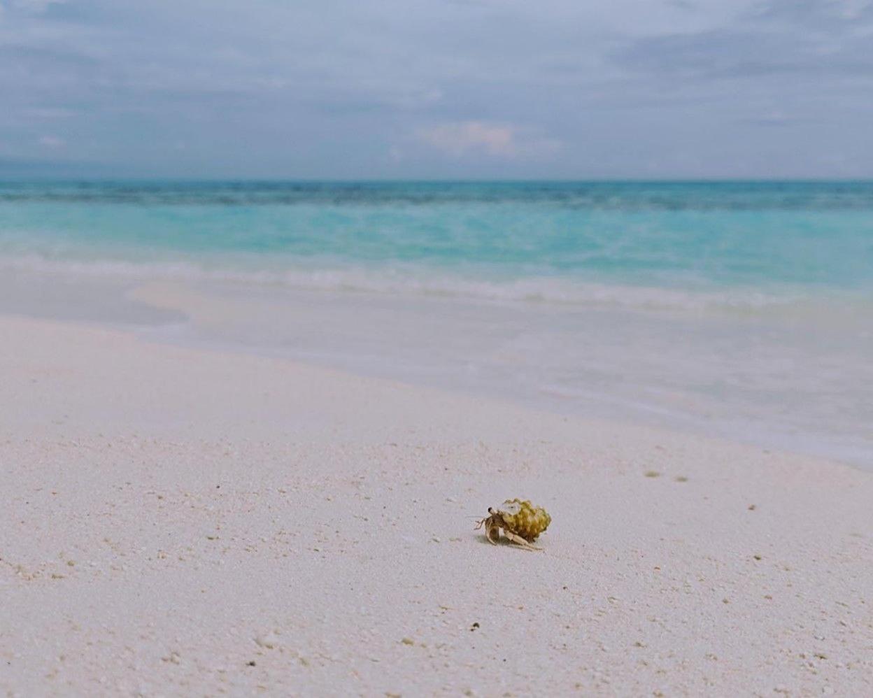 Bougan Villea Retreat Bodufolhudhoo 외부 사진